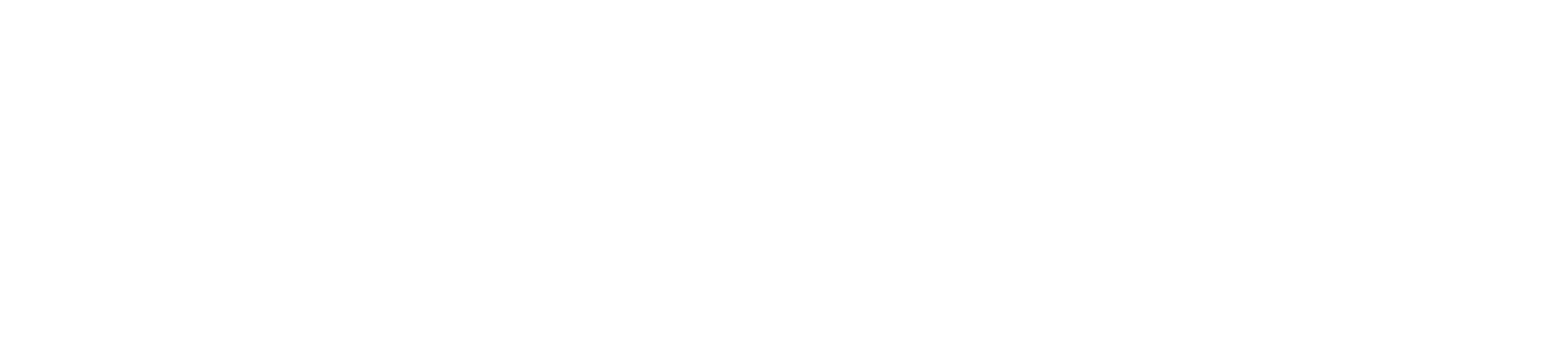 VoicePrint